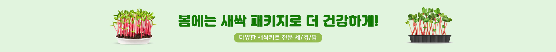 banner image