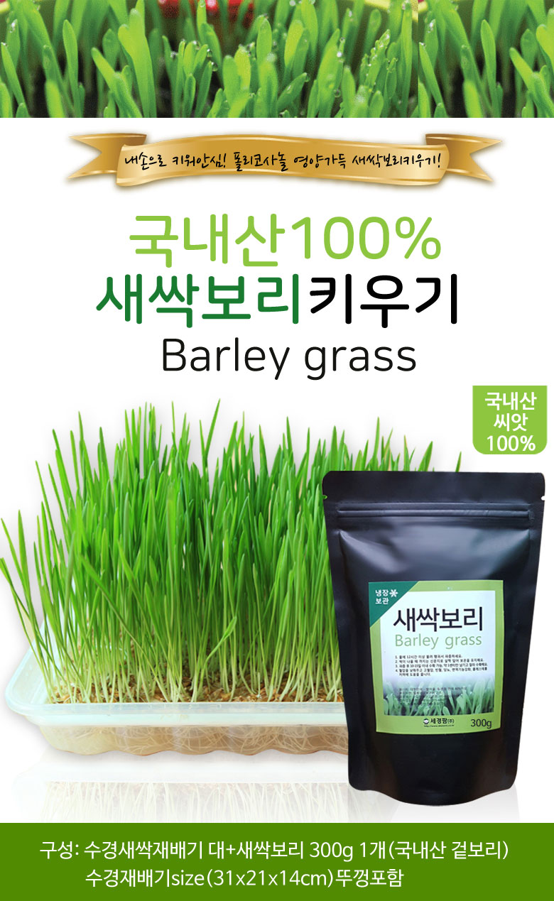 새싹보리키우기 수경재배세트 대(수경재배기+새싹보리씨앗)]